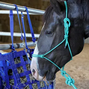 Promotional Equestrian Products Horse Riding Polyester Training Halter With Matching Lead Rope Premium Quality Equine Halters