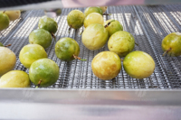Fruit Juicing Productielijn Oranje Ozon Bubbel Passievrucht Wassen Sorteermachine Gedehydrateerde Ui Productielijn
