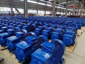 มอเตอร์เครนแบบสลิปริง Yzr-slip-ring-132kw  มอเตอร์เหนี่ยวนำแบบอะซิงโครนัสสามเฟส AC  ขายตรงจากโรงงาน - Product Image 6