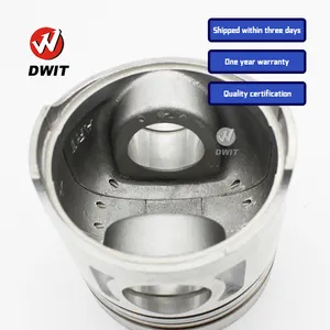 Pistons High Quality Diesel Pistons Engine 3066 S6K Piston For CATERPILLAR