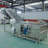 Fruit En Groente Bubbel Reinigingsmachine Industriële Automatische Apple Wasmachine Luchtbel Groente Schoonmaken Wassen