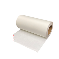 Film de transfert DTF en rouleau de 30, 33, 60 cm, pelable à chaud pour l'impression sur t-shirts et textiles