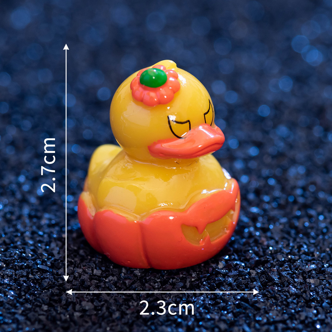 Canard citrouille n°3