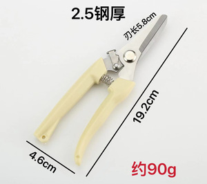 Sécateurs et cisailles de jardin en acier inoxydable avec lame incurvée et droite, design simple pour l'utilisation en jardin et en intérieur - Product Image 6