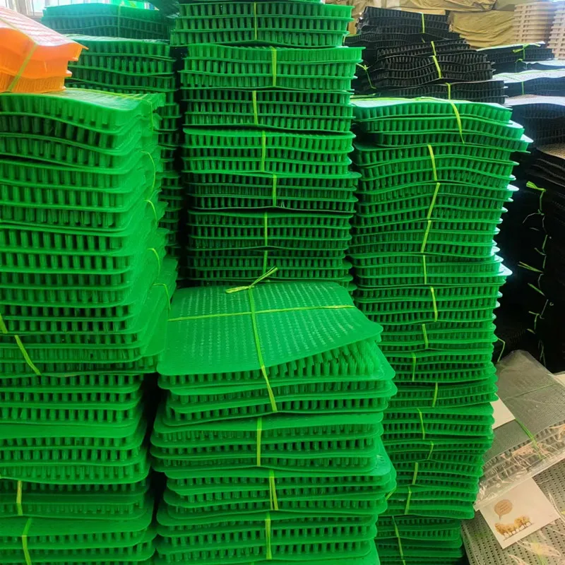 anti mite for chicken