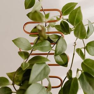 <span class=keywords><strong>Support</strong></span> Métal Porte-Plantes Escalade Intérieur petit mini treillis pour plantes <span class=keywords><strong>en</strong></span> <span class=keywords><strong>pot</strong></span> pour Vigne Lierre <span class=keywords><strong>plante</strong></span> obélisque treillis de jardin - Product Image 3