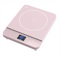 Cuisinière à induction électrique portable à brûleur unique pour usage domestique et hôtelier avec boîtier en plastique et écran couleur