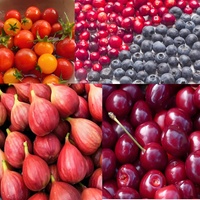 Automatische commerciële machine voor het ponsen en doorprikken van groenten en fruit, motor voor de verwerking van gedroogd fruit, lijn voor de verwerking van gekonfijt fruit