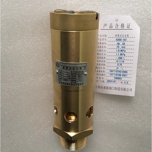 Válvula de seguridad Shanghai Evers A28X-16T, 1.6 Mpa, estructura abierta roscada para compresor de aire de alta presión - Product Image 1