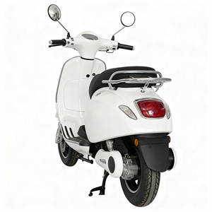 1000W Retro Electric Scooter, 10" Wheels, Drum &amp; Disc Brakes, 45km/<strong>h</strong> Commuting E-Scooter Customizable Products Made in China - Product Image 4