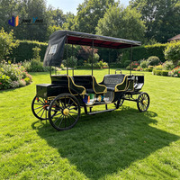 Wagon de tourisme électrique personnalisé à dorure dorée, multi-places, avec auvent, châssis en acier, capacité de charge 850 kg, transport usine