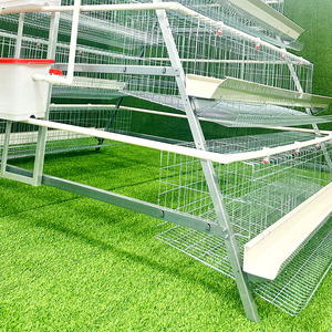 Cage à poules pondeuses pour équipement d'élevage, poulailler, cages pour animaux, équipements d'élevage, cages à poules pondeuses, cages d'élevage de poulets - Product Image 5