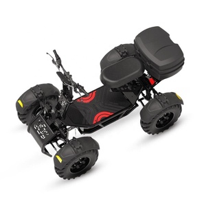 2025 vehículo todo terreno gran oferta adulto 4 ruedas Quad Bike All Wheel Drive Off-Road Utility 4x4 Scooter para carritos <span class=keywords><strong>de</strong></span> Golf - Product Image 6