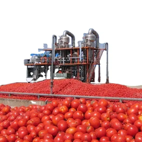 Fabrik direkte großen tomatenmark/ketchup produktion maschinen neue original