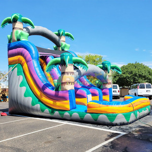 Dual lane commercial kids bounce house tobogan acuatico hinchable inflatable tropical water <b>slide</b> with <b>pool</b> - Product Image 1