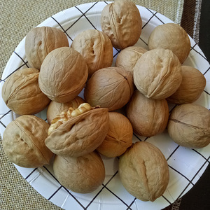 เปลือกวอลนัตแบบบางทำจากกระดาษสามารถทำจากวอลนัทออแกนิก - Product Image 6