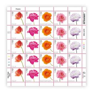 Uk Private Label Notes <strong>Sticker</strong> Set 1st Class Uk Style Prop Money Royal Mail Stamps <strong>Stickers</strong> Banknote Watermark Uv Stamp Uk Large - Product Image 6