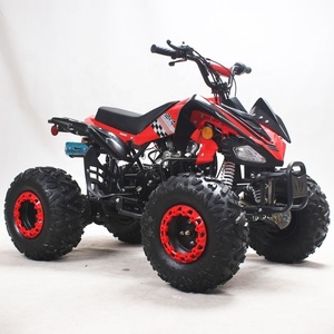 Quad à moteur pour enfants Tao Motor Farm ATV 110cc 4 125cc Quad 2 roues motrices à transmission par chaîne de course de moto à roues - Product Image 5