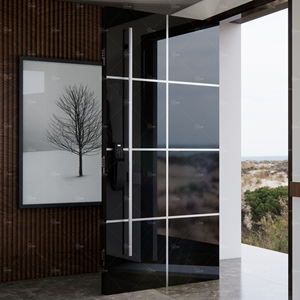 Portes en acier modernes pour villa, design italien dernier cri, portes d'entrée principales en acier inoxydable haute brillance - Product Image 6