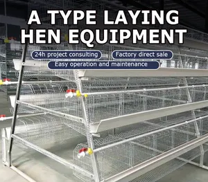 Automatic Cage For Chicken Poultry Cage Poultry Equipment For Sale