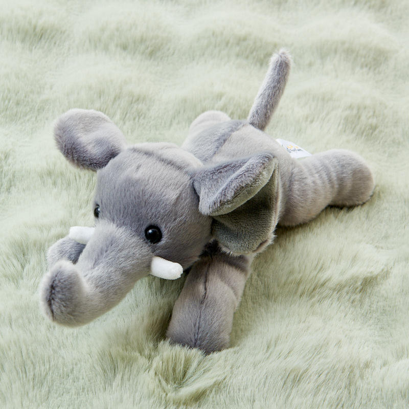 Descends l'éléphant.