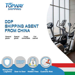 Goedkope lucht- en zeevracht DDP verzending expediteur Egypte naar de VS - Product Image 1