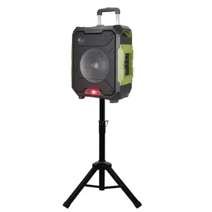 Deluxe Grande Potente 50W Bluetooth Trolley speaker Karaoke con il basamento, luce laser, luce di controllo a distanza, fm,aux, DUE di RIPRODUZIONE USB, tf, registrazione,