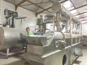 Secador de lecho fluidizado vibratorio continuo de la mejor venta Serie ZLG para migas de pan de sal de gránulos marinos para procesamiento de alimentos de manera competitiva - Product Image 2