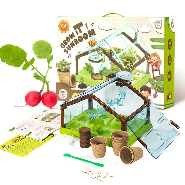 Kit de plantas de ervas, kit diy, bonsai natural, kit iniciante de jardim interno, produtos para crianças