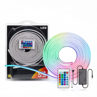 Bande lumineuse LED néon RGB 12V, ruban néon flexible avec télécommande 24 touches, kit en blister pour la décoration publicitaire commerciale