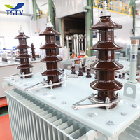 Transformador Trifásico de Baja Pérdida Tipo Aceite TSTY 500kva 630kva 1000kva 1500kva 2500kva 13200V a 7620V, Estándar ANSI