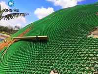 Grilles de drainage perméables en plastique recyclé HDPE pour jardin, allée et gazon artificiel