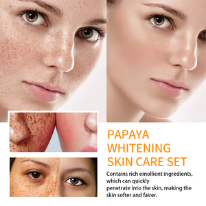 Kit de soin du visage personnalisé AHA Vitamine C Acide hyaluronique Crème éclaircissante Nettoyage Exfoliation des pores Soin de la peau organique Glow Papaya - Product Image 6