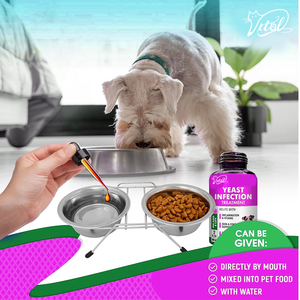 Gouttes naturelles anti-démangeaisons pour infection à levures chez le chien-Supplément à base de plantes pour le soulagement des allergies cutanées Réduit l'inflammation Irritation immunitaire - Product Image 4