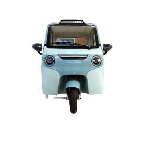 Customizable 3-Wheel Mini Electric Tricycle 2-Door <strong>Enclosed</strong> <strong>Trike</strong> with 1000W for Passengers Body Type Closed - Product Image 6