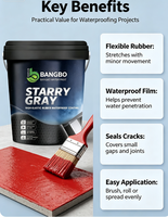 Peinture liquide en caoutchouc gris étoilé haute élasticité, imperméable, résistante aux UV pour toiture, tuiles, murs en béton, piscines, application au pinceau Bangbo