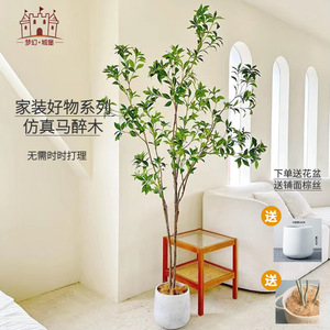 Arbre artificiel en plastique Dongguan Dream Castle Simulated Pieris, 100-200 cm, pour décoration intérieure - Product Image 1