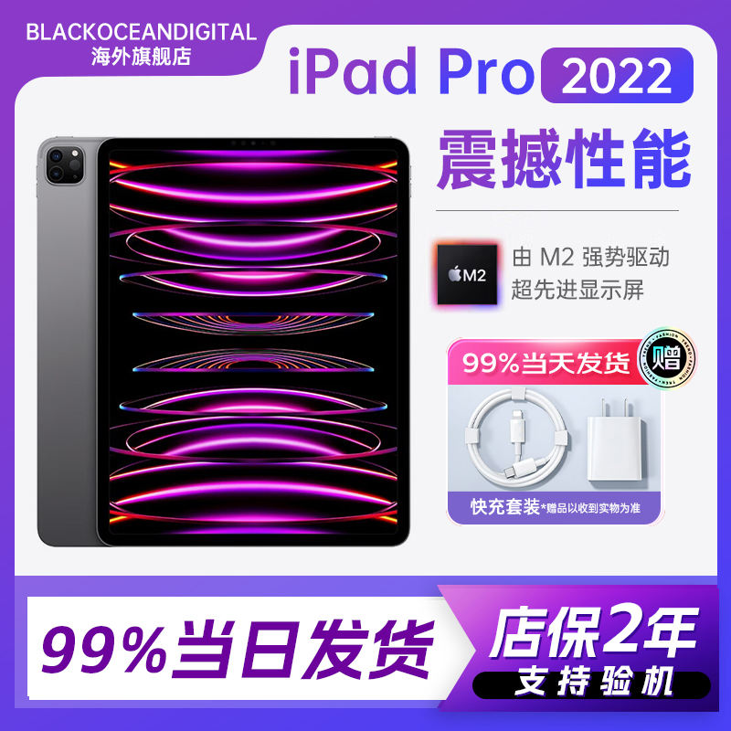 Gris sidéral 11 pouces