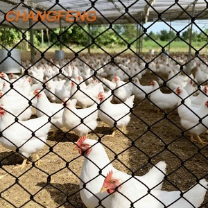 Cheap Range Mesh <strong>Net</strong> Chicken Fence <strong>Plastic</strong> <strong>Net</strong> Nylon Poultry Netting for Chicken Fence Farm Floor - Product Image 1