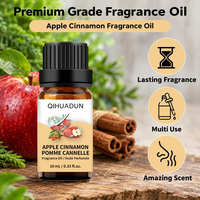 Huile parfumée à la cannelle et à la pomme, huile aromatique hautement concentrée pour la fabrication de bougies, de savons, de bombes de bain, de diffuseurs, de parfums d'intérieur, de bricolage