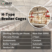 Système de cages à poulets automatiques de type H, équipement d'élevage avicole multi-niveaux, fabricant