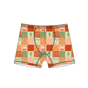 Bamboo <strong>Underwear</strong> <strong>Boys</strong>' <strong>Underwear</strong> Newly Designed Printed <strong>Underwear</strong> <strong>Boys</strong>' <strong>Underwear</strong> Wholesale Customizable Printed Boxer Shorts - Product Image 2
