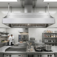 Campana Extractora Comercial para Cocina de Restaurante, de Acero Inoxidable, con Filtro de Grasa y Luz LED
