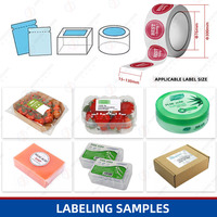 Étiqueteuse automatique de sacs à sachets en plastique pour café plat Étiqueteuse d'autocollants à étiquettes plates