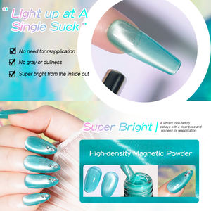 R S Nail Custom 8g Crystal Cat Eye Gel 12 colores Ventas al por mayor Profesional Soak Off Led Uv Gel Nail Supplies Diy Nail Art Beauty - Product Image 2