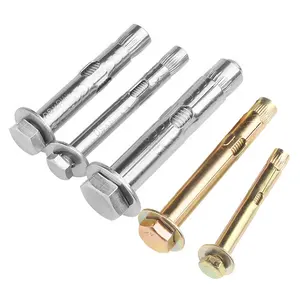 customized 304 Stainless Steel Galvanized Sleeve type expansion anchor bolts With hexagon nuts spring washers and flat washers