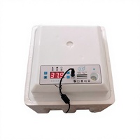 Nouvel incubateur d'œufs intelligent rectangulaire compact en gros pour poulets, retournement automatique, en plastique, 220V, double alimentation, pour usage domestique