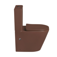Armoire sanitaire moderne pour salle de bain Placard à eau sans rebord en forme de S Cuvette de toilette deux pièces en céramique couleur Inodoro