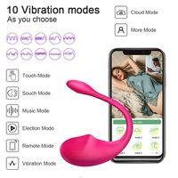 Tragbarer App-gesteuerter Vibrator in Vaginaform, Bullet-Vibrator, Sexspielzeug, Vibrierendes Ei für Frauen