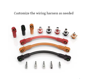 Kit harnes kabel terminal baterai Lifepo4 Inverter kabel nilon otomotif kotak Daya kabel soket tembaga - Product Image 2